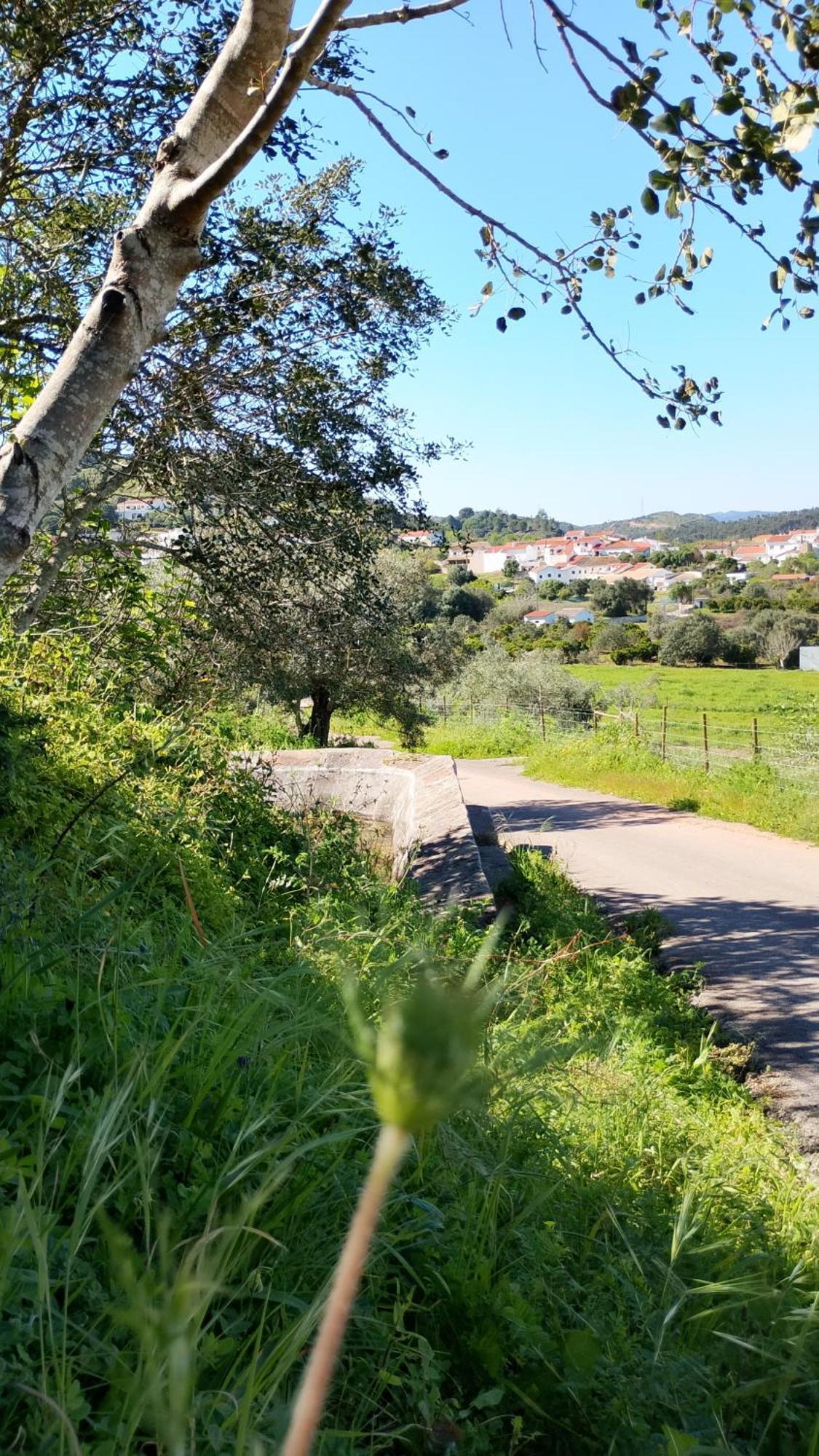 Paraiso Da Aldeia São Bartolomeu de Messines Zewnętrze zdjęcie